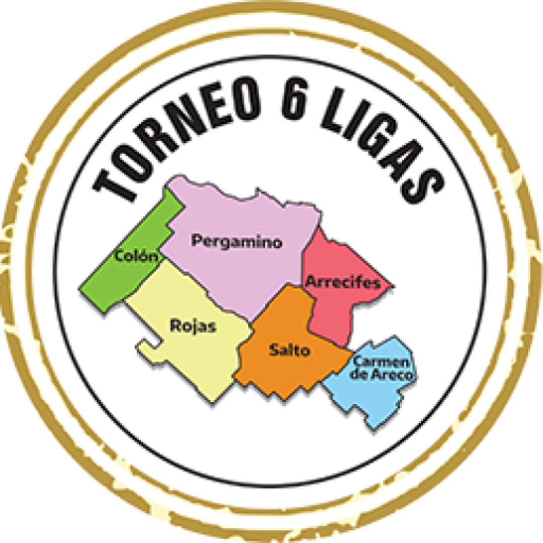 Torneo 6 Ligas